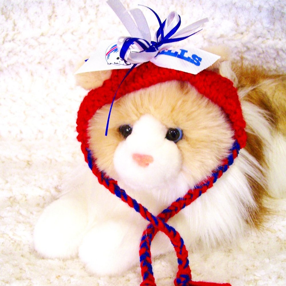 Buffalo BILLS Handmade Football Cat Hat *NEW*
